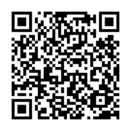 QR code for plate 489-TBR