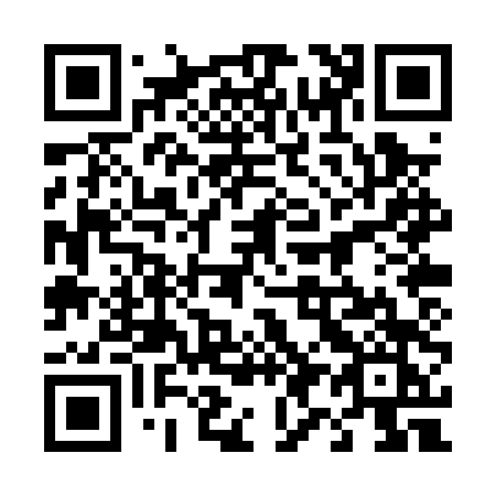 QR code for 490-PTK