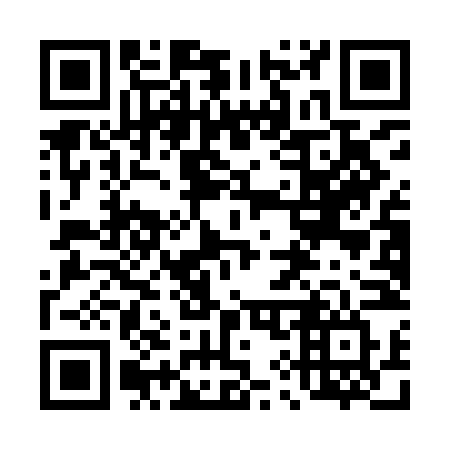 QR code for 491-INV