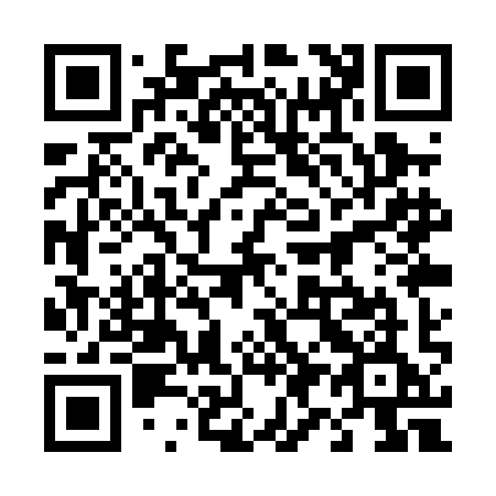 QR code for 491-PIE