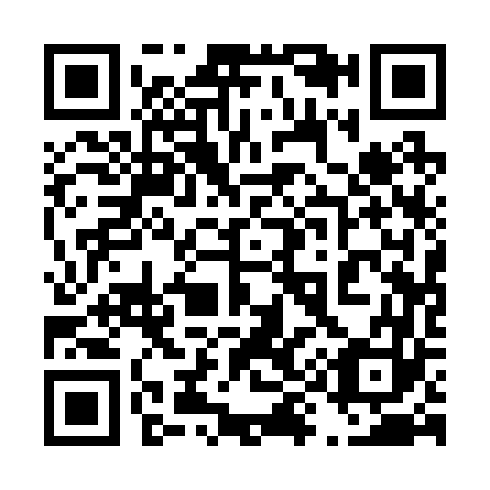 QR code for 491263