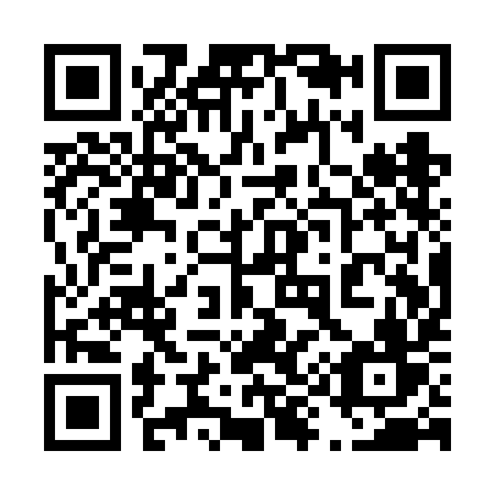 QR code for plate 491-VIV
