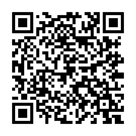 QR code for 491XOM