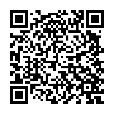 QR code for 492446