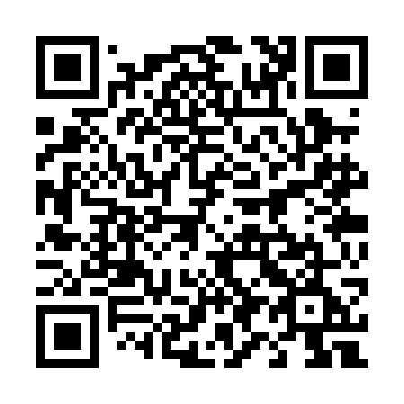 QR code for 493-PGE