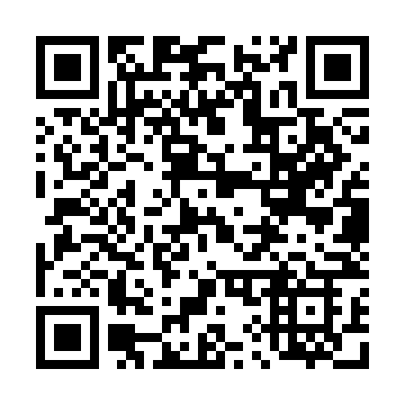 QR code for 493-SNK
