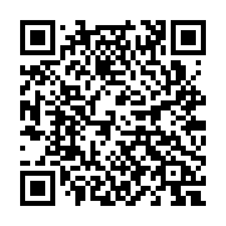 QR code for 493-SPB
