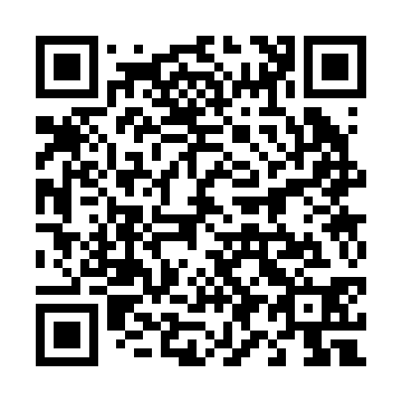 QR code for 493230