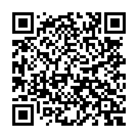 QR code for 493LVC