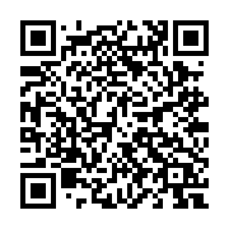 QR code for plate 493-PDP