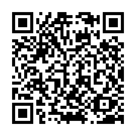QR code for plate 493-QKX