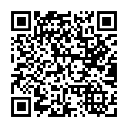 QR code for plate 494-YIE