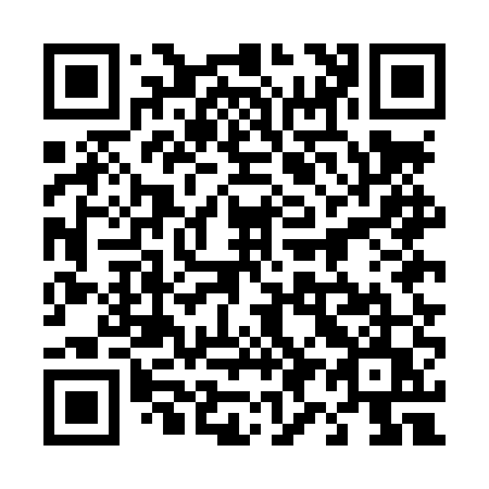 QR code for 495-LUU
