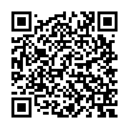 QR code for 495161