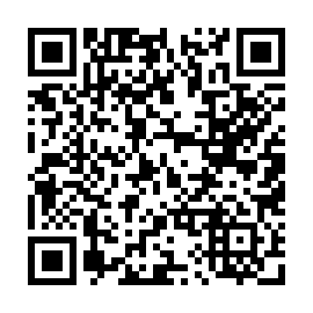 QR code for 495381
