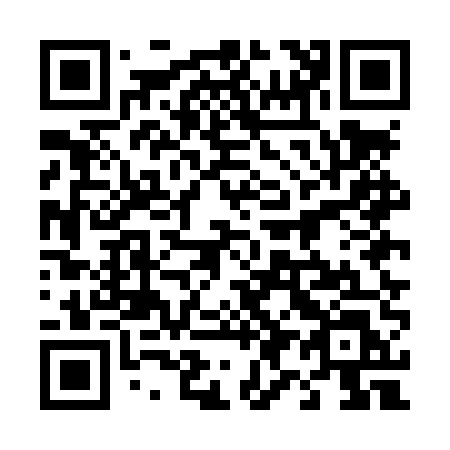 QR code for 495LUL