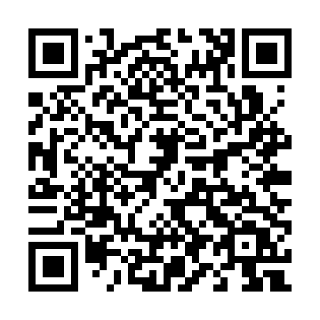 QR code for 495STT