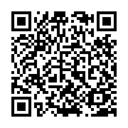 QR code for 496-LIU