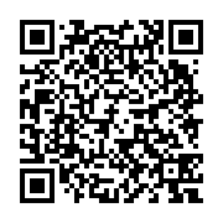 QR code for 498638