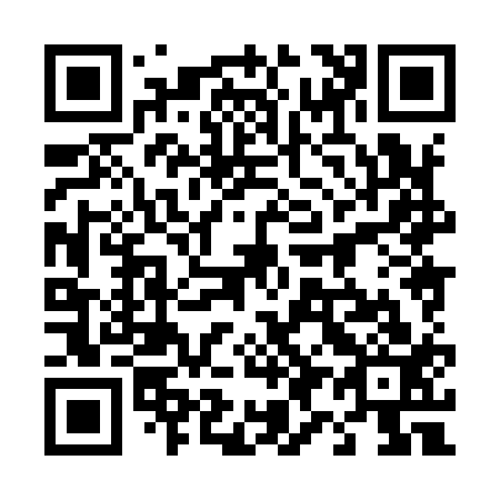 QR code for 498913