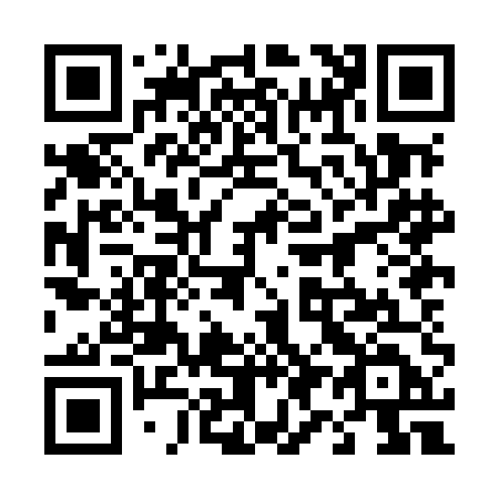 QR code for plate 498-MED