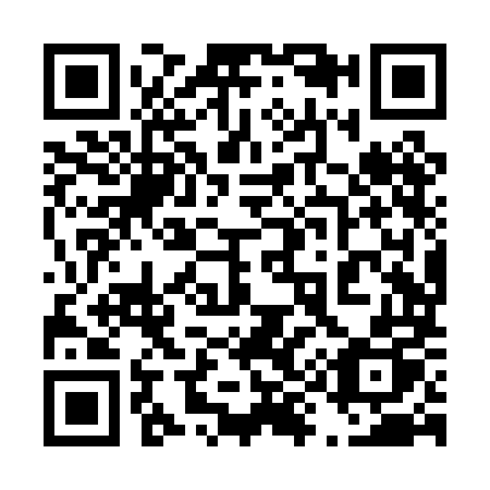 QR code for 498PMP