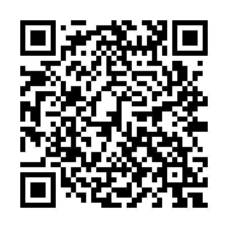 QR code for plate 499-QWK