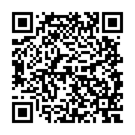 QR code for 4D6595