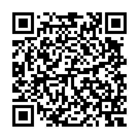QR code for 4I2495