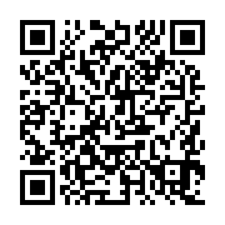 QR code for 4N0991