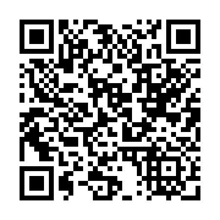 QR code for 4P0333