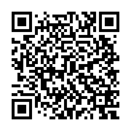QR code for 4P0768