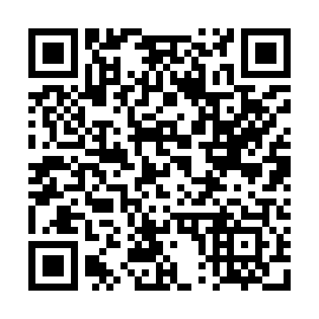QR code for 4P2903