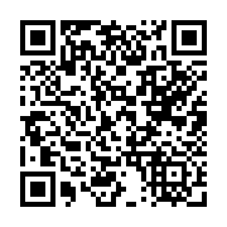 QR code for 4P3333