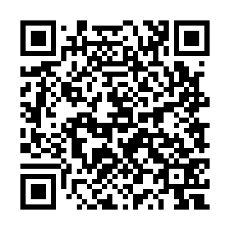 QR code for 4P4173