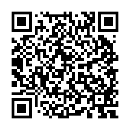 QR code for 500289