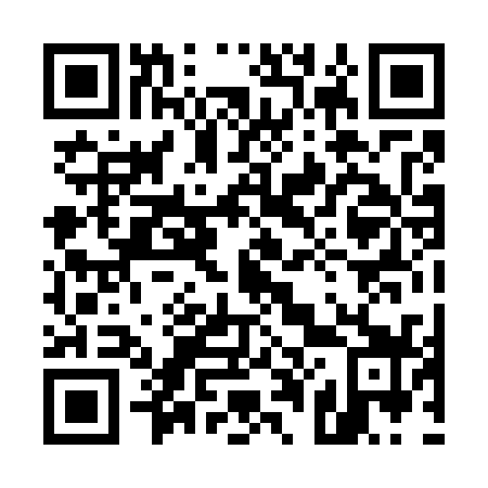 QR code for 500739