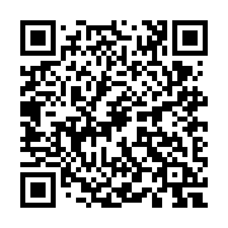 QR code for plate 500-FIB