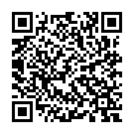 QR code for 501-INN