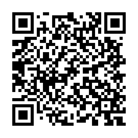 QR code for 501541
