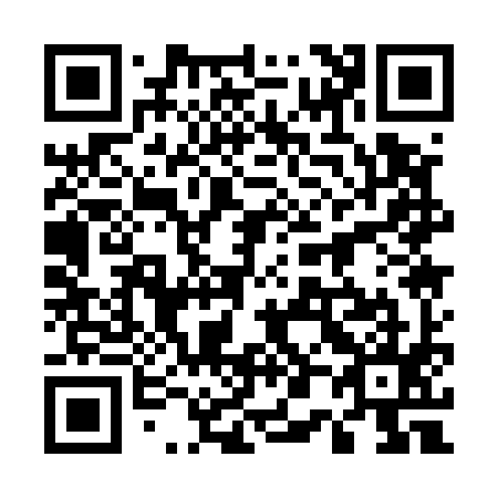 QR code for 501595