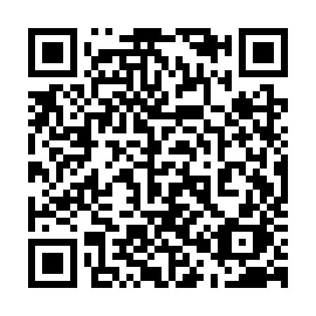 QR code for plate 501-CZH