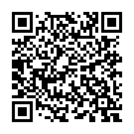 QR code for 501OIG