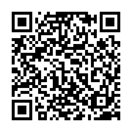 QR code for 503333