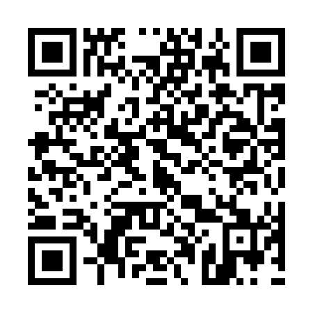 QR code for 509941