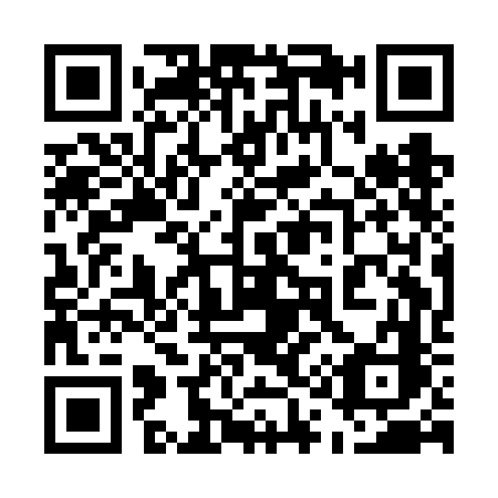 QR code for plate 511-FFC