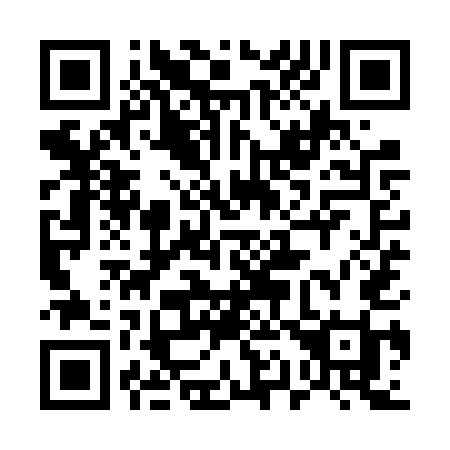 QR code for 519-VUI