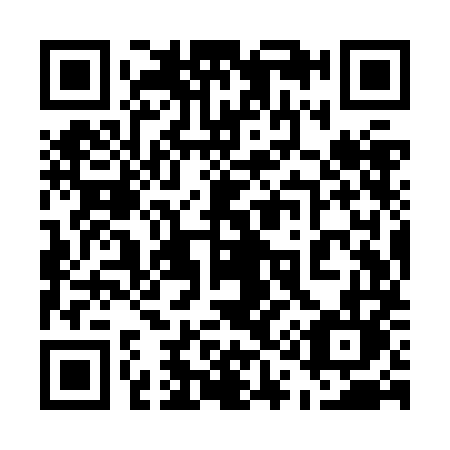 QR code for 519ZML