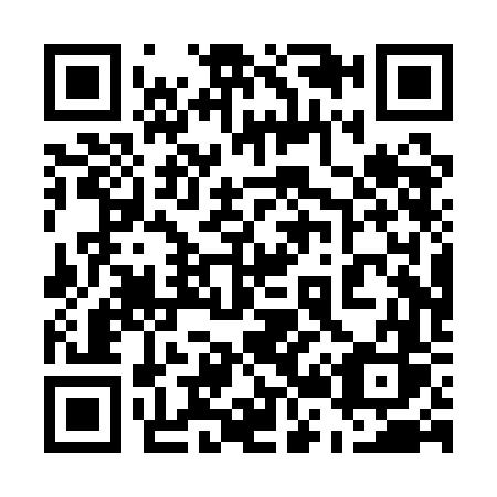 QR code for plate 520-QFS
