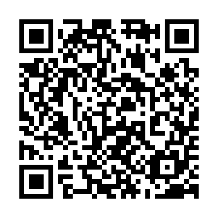 QR code for 533355